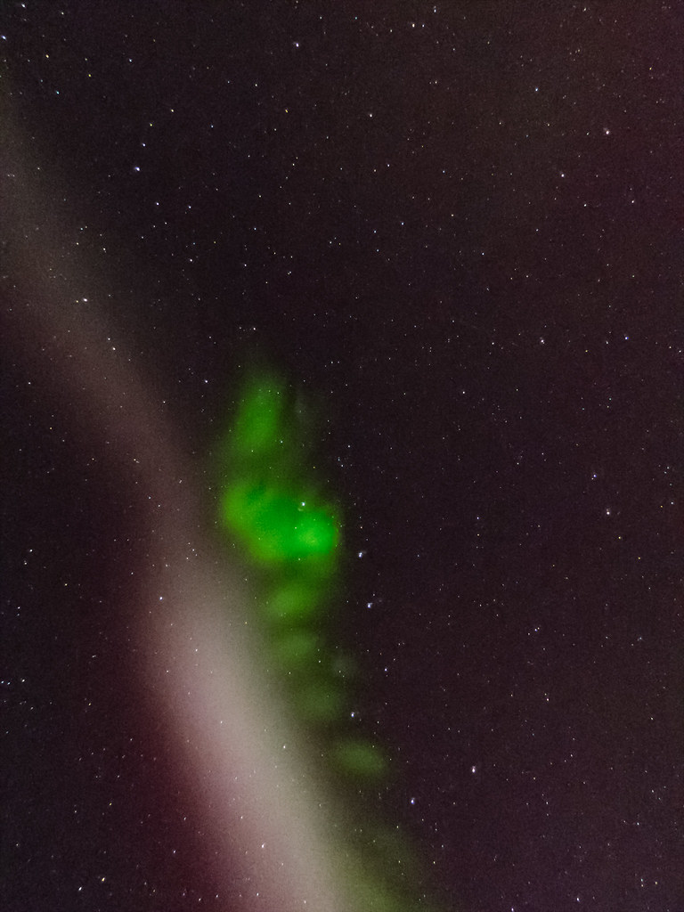 Green picket-fence columns glowing beside a pale mauve STEVE ribbon in a starry night sky